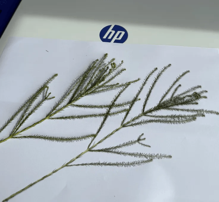 帶了臺(tái)打印機(jī)出國<strong></p>
<p>打印機(jī)
</strong>，好方便?。?！:打印機(jī)
